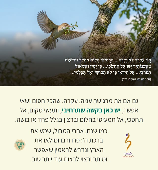 הפטרת פרשת נח